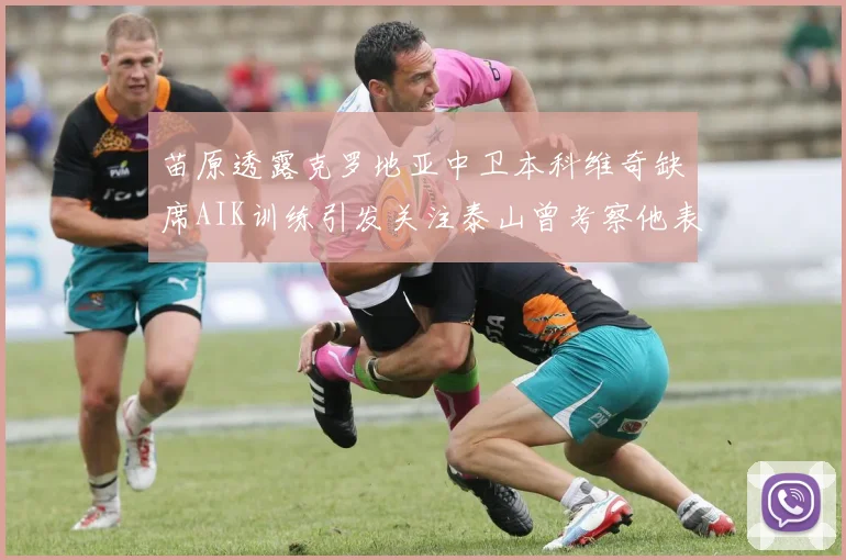 苗原透露克罗地亚中卫本科维奇缺席AIK训练引发关注泰山曾考察他表现